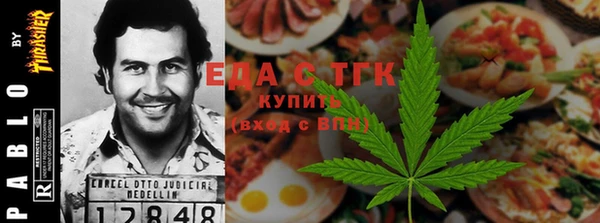 индика Аркадак