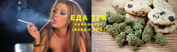 индика Аркадак