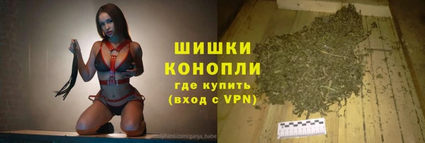 индика Аркадак