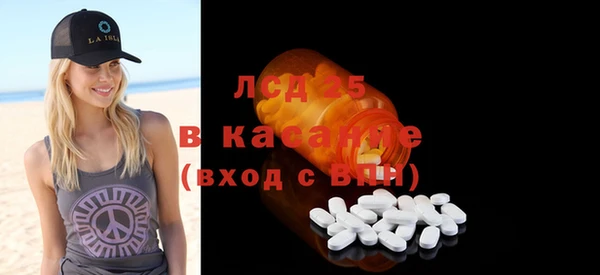 индика Аркадак