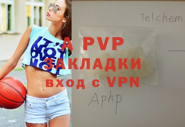индика Аркадак