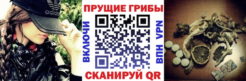 mega сайт Пудож Псилоцибиновые грибы прущие грибы